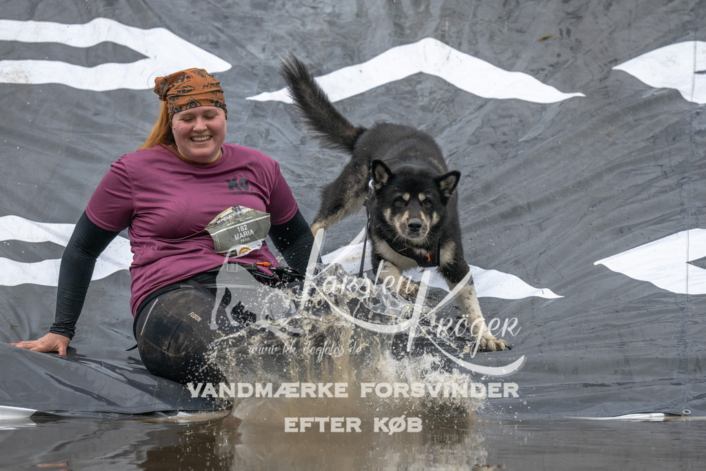 1436_ZZ91024 | kk-dogfotos