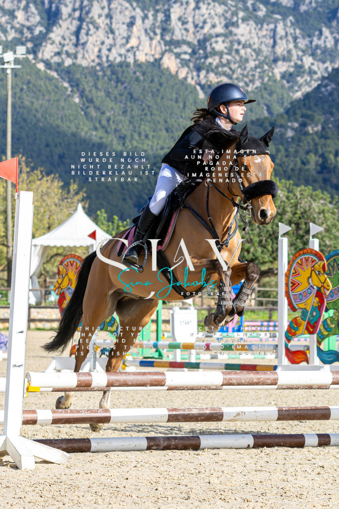 IMG_0442 | s-jay-photography - Realisiert mit Pictrs.com