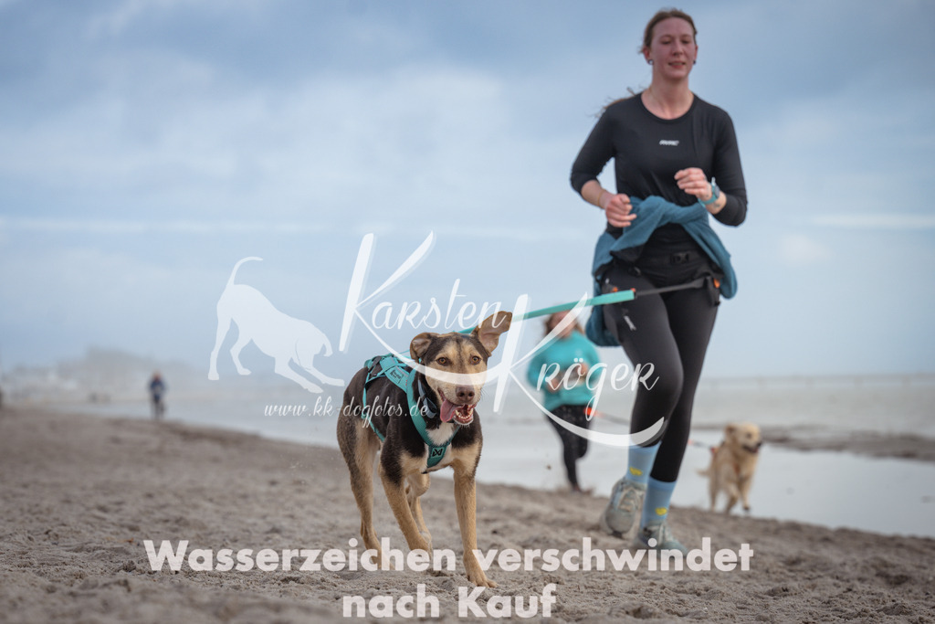 1211_ZZ94797 | kk-dogfotos