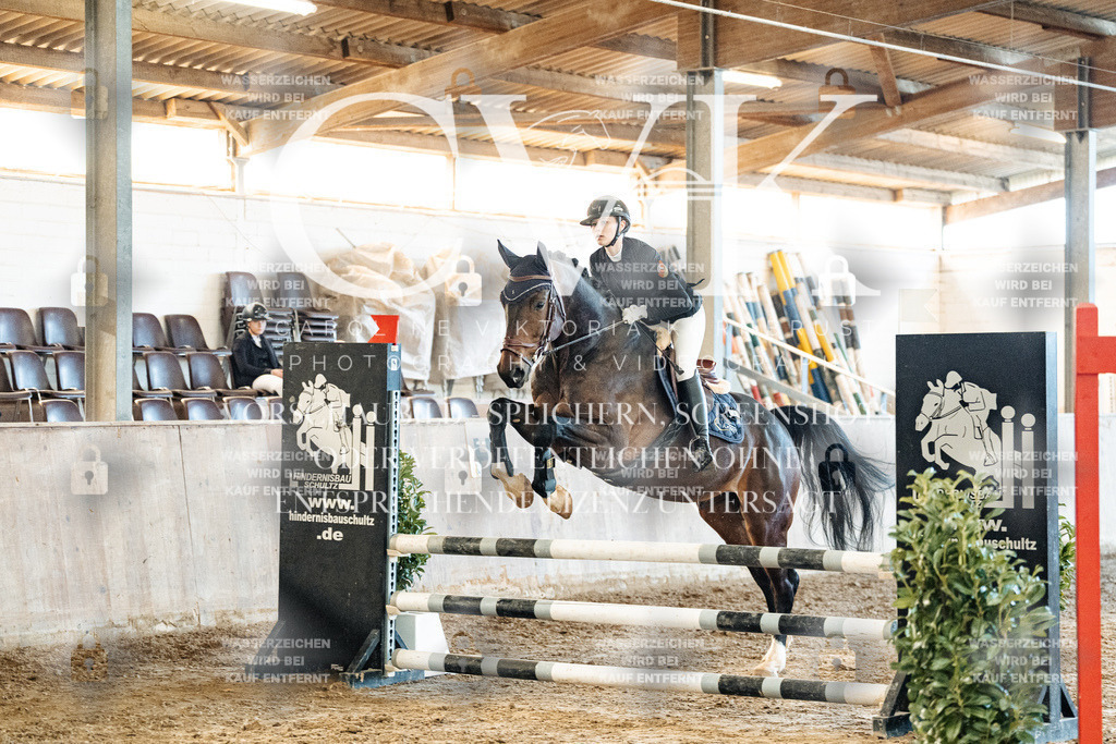 CK904558 | Turnierfotografie Pferdefotografie Trier Rheinland-Pfalz Pferdesport Reitsport Tierfotografie Sportfotografie Pferdevideo Pferdevideografie Equestrianvideography equestrianphotography  - Realisiert mit Pictrs.com