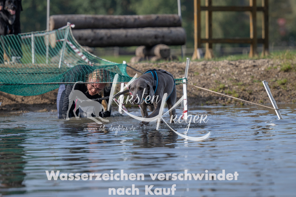 1050_ZZ90252 | kk-dogfotos