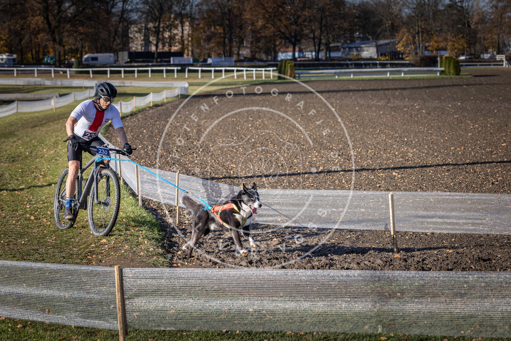 CaniXpix_DV3A3847 | Hundefotografie, Tierfotograf, Pfotenfotografie, Fotoshooting Hund, Hunde Portrait, Hundesport, Hundeportraits, Heideshooting, Hunde, Sportfotograf, Hundefotograf, Turnierhundsport, THS,  - Realisiert mit Pictrs.com