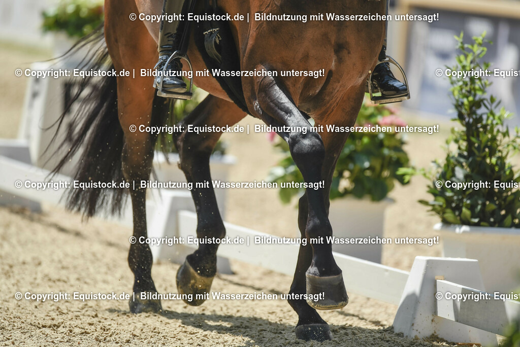 TP5_1348 | equistock