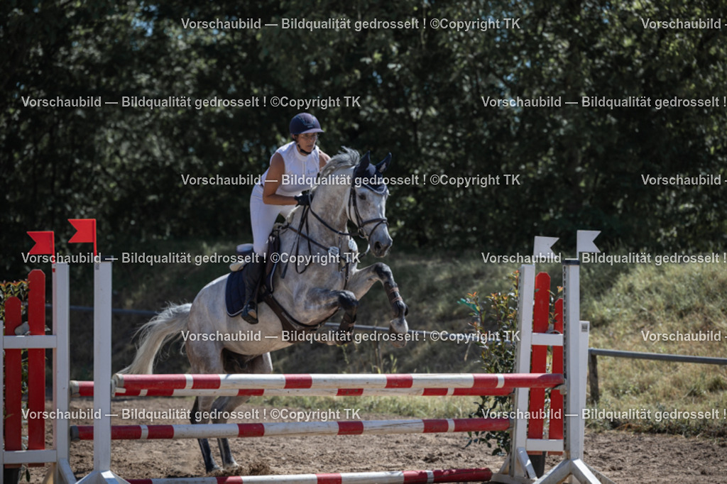 _D5A7527 | Emotionale Pferde- & People-Fotografie rund um Heidelberg, Leimen & Umgebung. Natürliche Fotos von Pferd, Mensch & Familie. Jetzt Termin sichern!