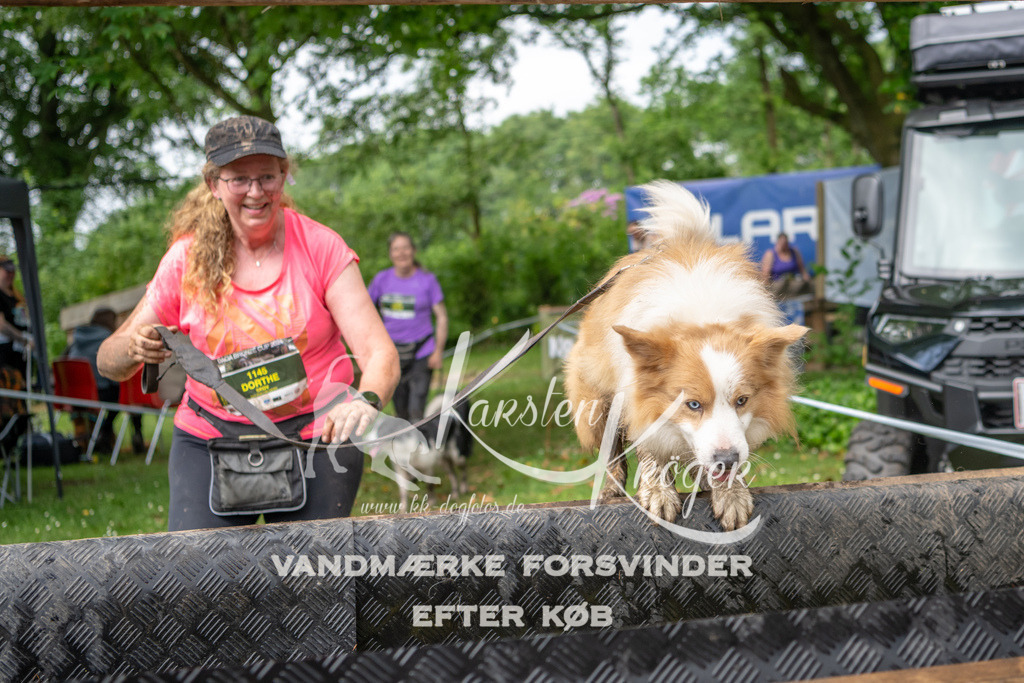 1012_ZZ94431 | kk-dogfotos