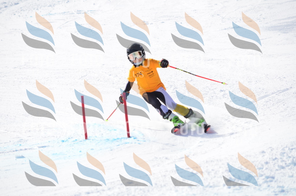 C8761 | holidayphoto