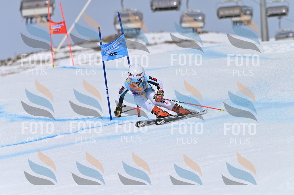 BGV_3622 | holidayphoto