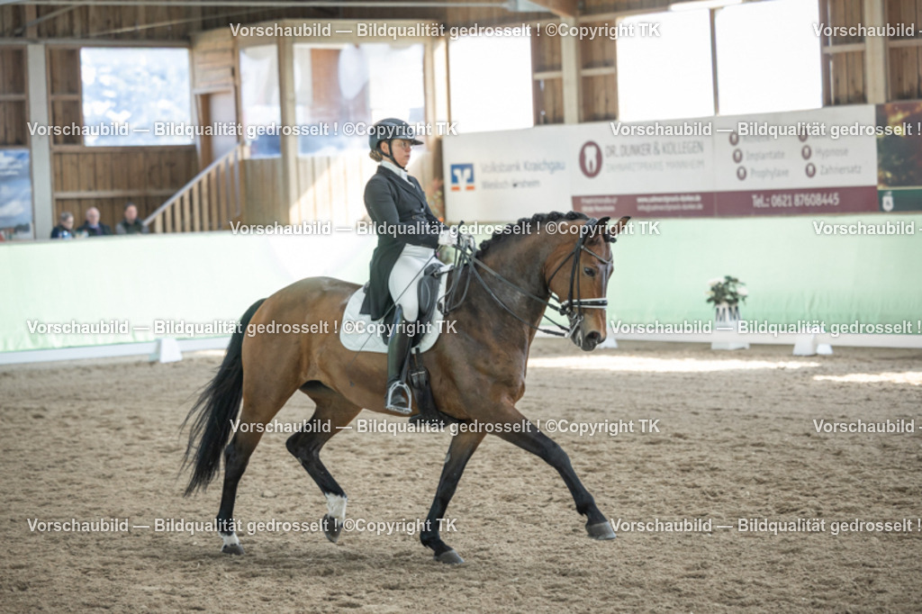 _D5A9929 | Emotionale Pferde- & People-Fotografie rund um Heidelberg, Leimen & Umgebung. Natürliche Fotos von Pferd, Mensch & Familie. Jetzt Termin sichern!