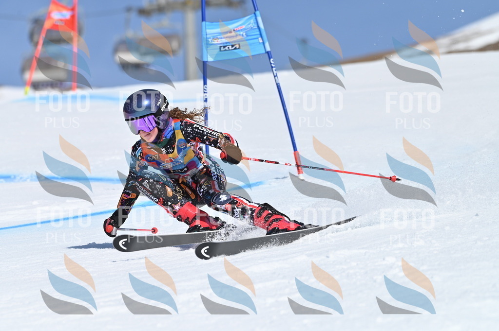 BGV_8965 | holidayphoto