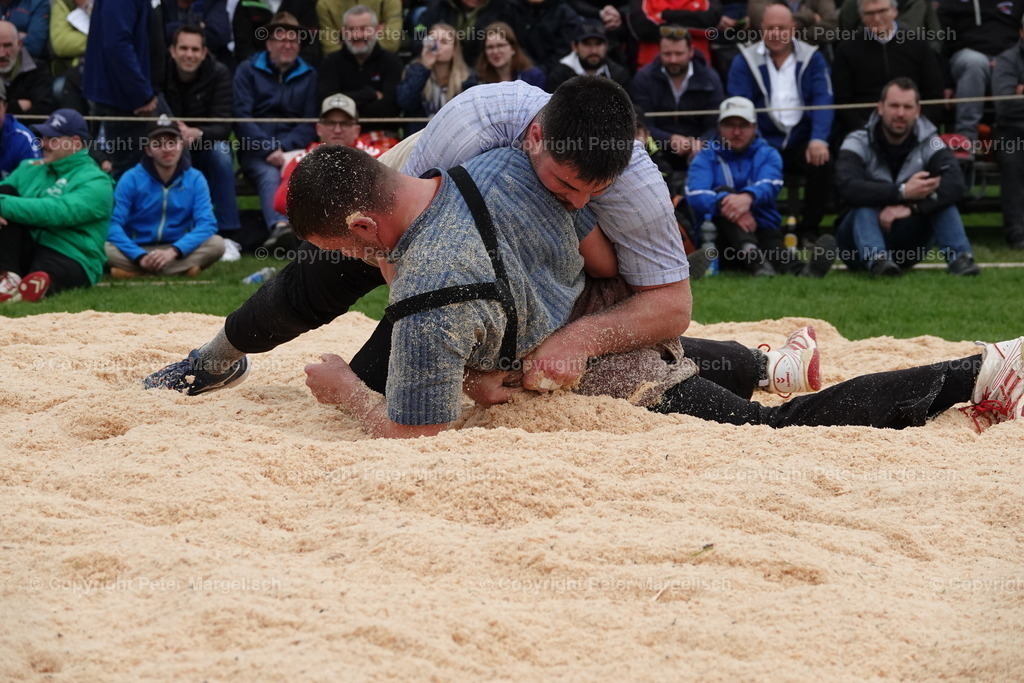 DSC03337 | Schwingen - Realisiert mit Pictrs.com