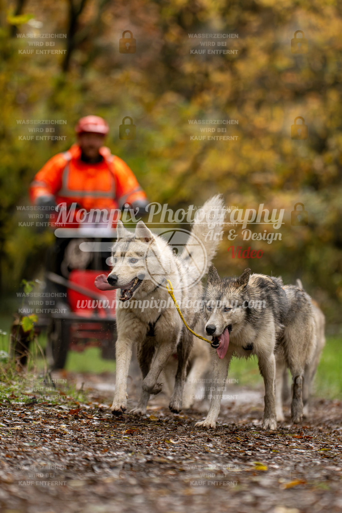MompixPhotography_Bischwiller23_Kart-25 | PayLife
