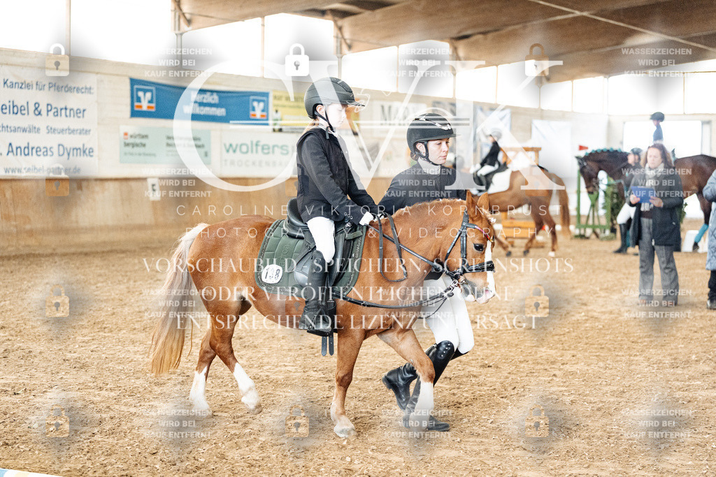 CK905626 | Turnierfotografie Pferdefotografie Trier Rheinland-Pfalz Pferdesport Reitsport Tierfotografie Sportfotografie Pferdevideo Pferdevideografie Equestrianvideography equestrianphotography  - Realisiert mit Pictrs.com