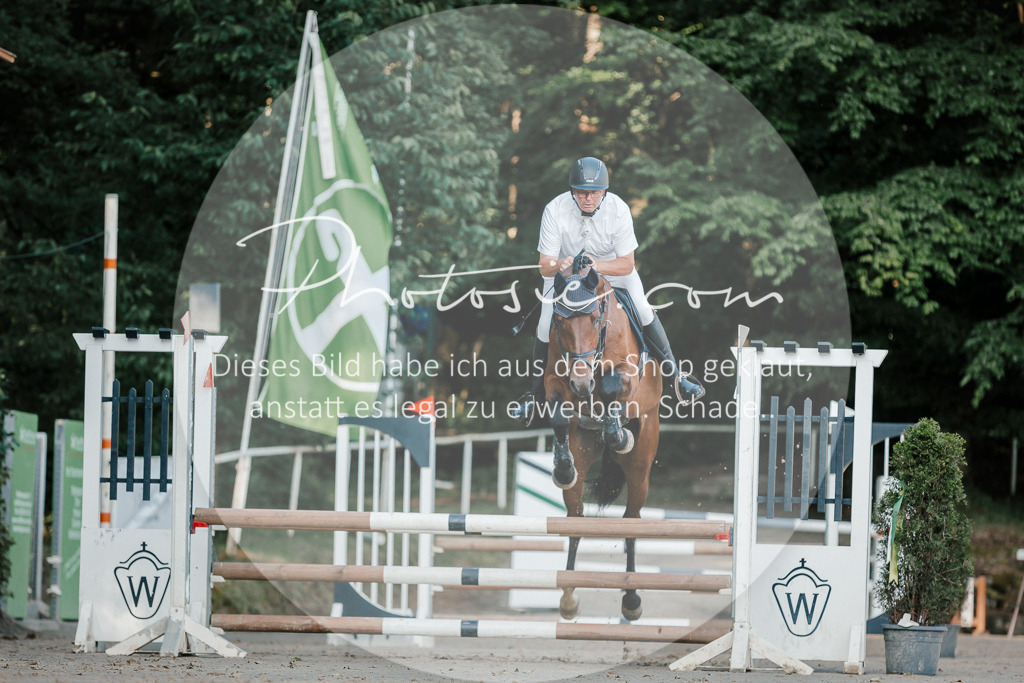 3I6A6035 | Stimmungsvolle Portraits und Reitsportfotografie im Ruhrgebiet und im Münsterland.

Pferdefotografie, Hundefotografie, Tierfotografie, Reportagen, Portraits von Tier und Mensch, Turnierfotografie in Bochum, Recklinghausen, Marl, Haltern am See, Dülmen.. - Realisiert mit Pictrs.com