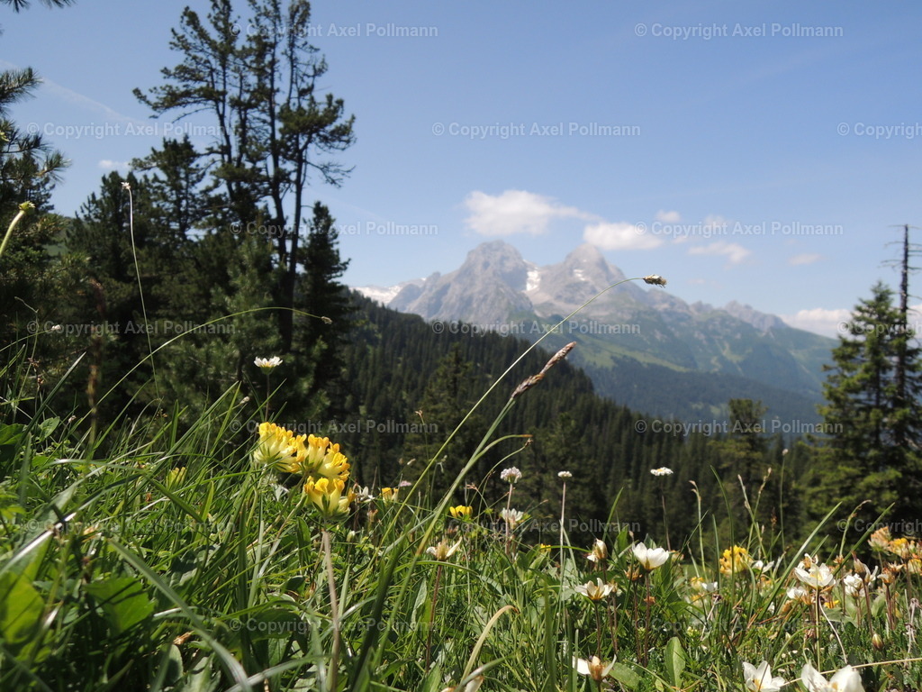 07-DSCN8212 | fotografiert von Axel PollmannLeonhardi Wallfahrt Benediktbeuern und Murnau, Fronleichnam, Fasching, Landschaft im Loisachtal und Benediktbeuern  - Realisiert mit Pictrs.com