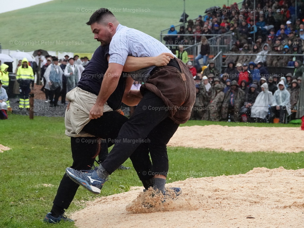 DSC07916 | Schwingen - Realisiert mit Pictrs.com