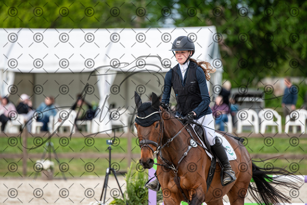 KPT_7155 | andre_photographic