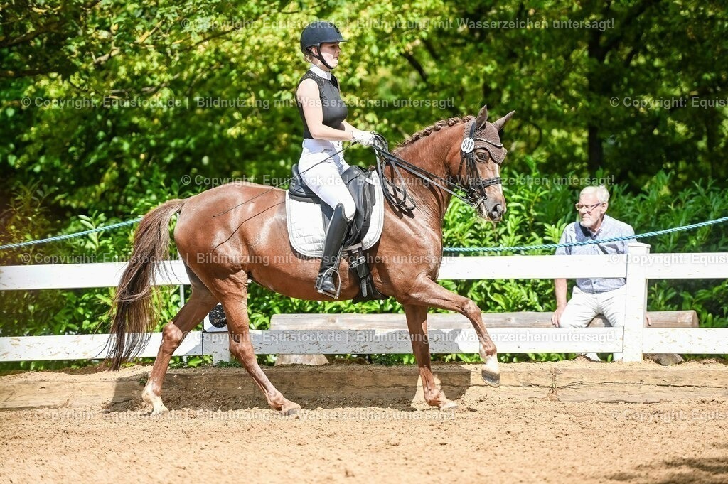 20230716_01_Dressurprüfung Kl.M_0344 | equistock