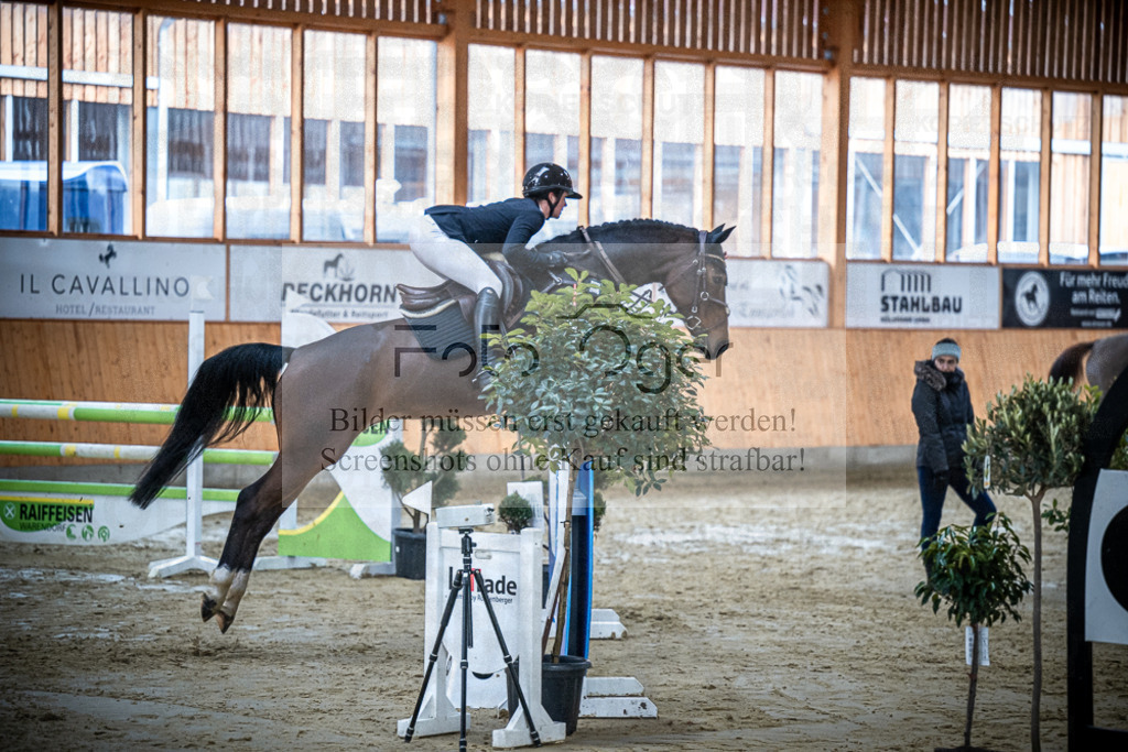 DOS_1611 | Entdecke hochwertige Reitturnierfotos von Foto Oger. Professionell, emotional und authentisch – jetzt Lieblingsmomente im Shop bestellen.Deutschlandweite Turnierfotografie. - Realisiert mit Pictrs.com