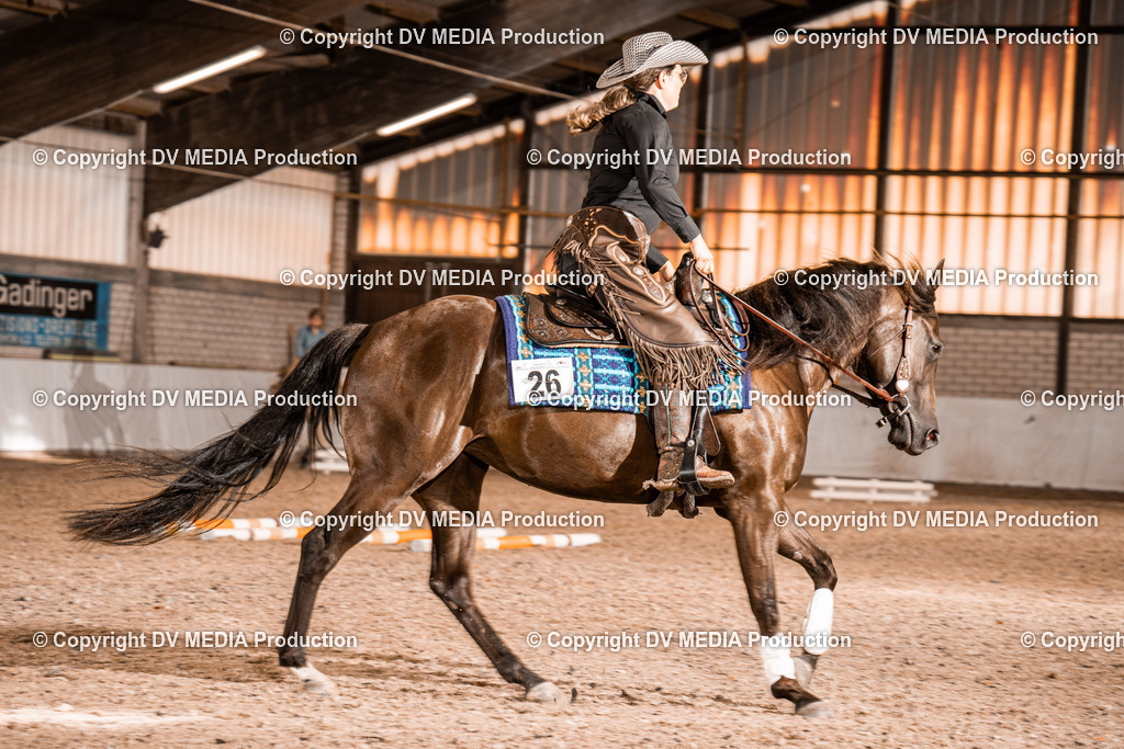 ZH300246 | dv-media-shop - Realisiert mit Pictrs.com