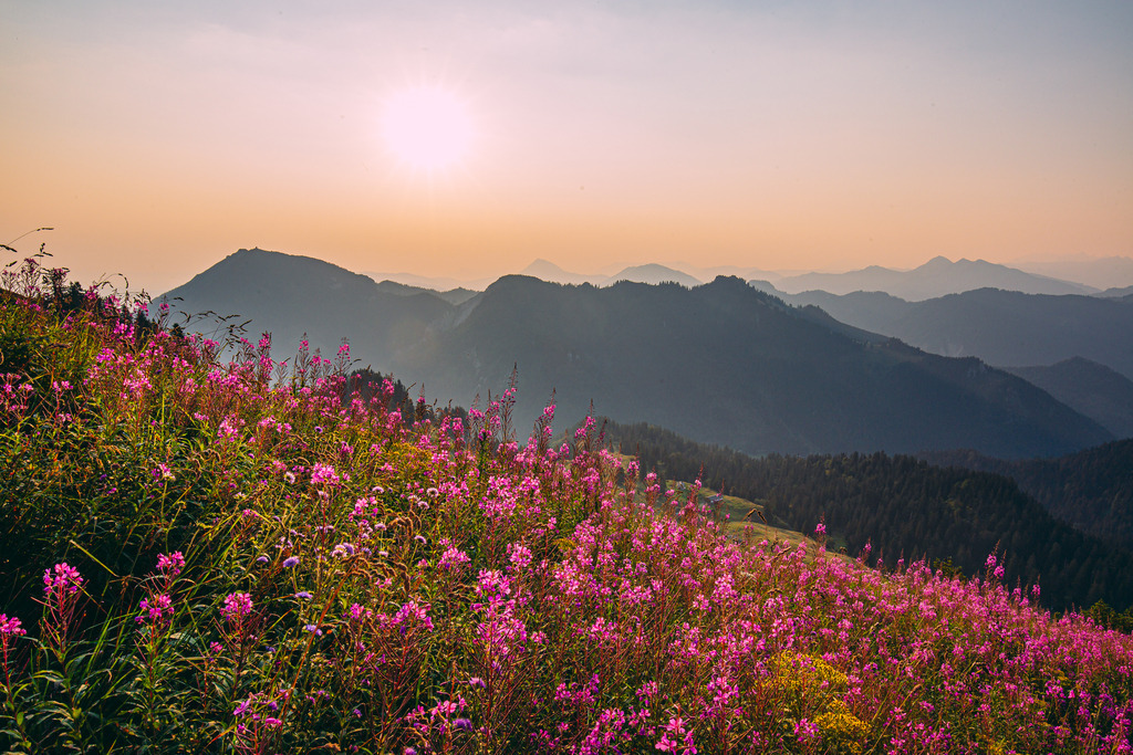 NQ8A9883 | ap-design // andreas plenk - Realisiert mit Pictrs.com