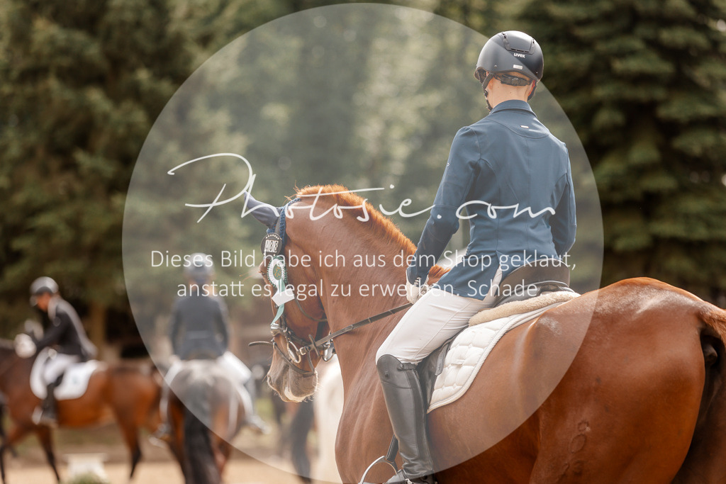 3I6A7678 | Stimmungsvolle Portraits und Reitsportfotografie im Ruhrgebiet und im Münsterland.

Pferdefotografie, Hundefotografie, Tierfotografie, Reportagen, Portraits von Tier und Mensch, Turnierfotografie in Bochum, Recklinghausen, Marl, Haltern am See, Dülmen.. - Realisiert mit Pictrs.com