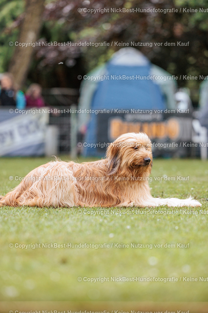 RO-Blumenthal-2026-Nickbest-Hundefotografie-2551 | Dein Hund! Dein Moment! Deine Erinnerungen! Hundefotografie in Bremen Blumenthal. Ich fange die besonderen Momente deines Vierbeiners ein – ob Indoor mit Blitzanlage oder in der freien Natur. Sicher dir dein Moment und dein Termin für eure Erinnerungen.