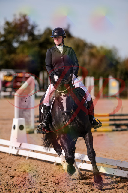 2026_10_03_Siefer-Hof_131853_Z81_67268867 | Professionelle Reitsport-, Turnier- und Eventfotografie von Robert Broda. Galerien mit ausgewählten und bearbeiteten Bildern direkt online ansehen und bestellen.