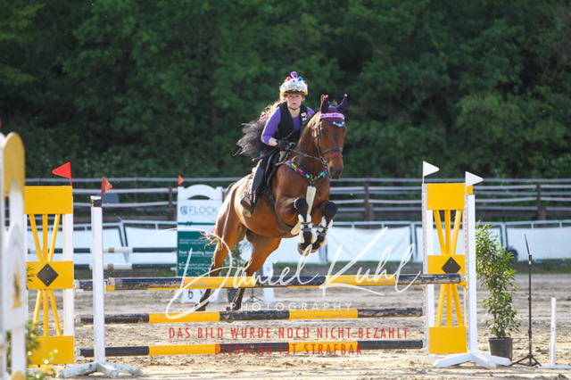 DKP45202 | Turnierfotos kaufen im Webshop von Daniel Kuhl Photography – entdecke professionelle Reitsportfotos aus Turnieren & Events. Hochwertige Turnierbilder online bestellen & sichern. Jetzt Fotos von Reitsportturnieren kaufen!