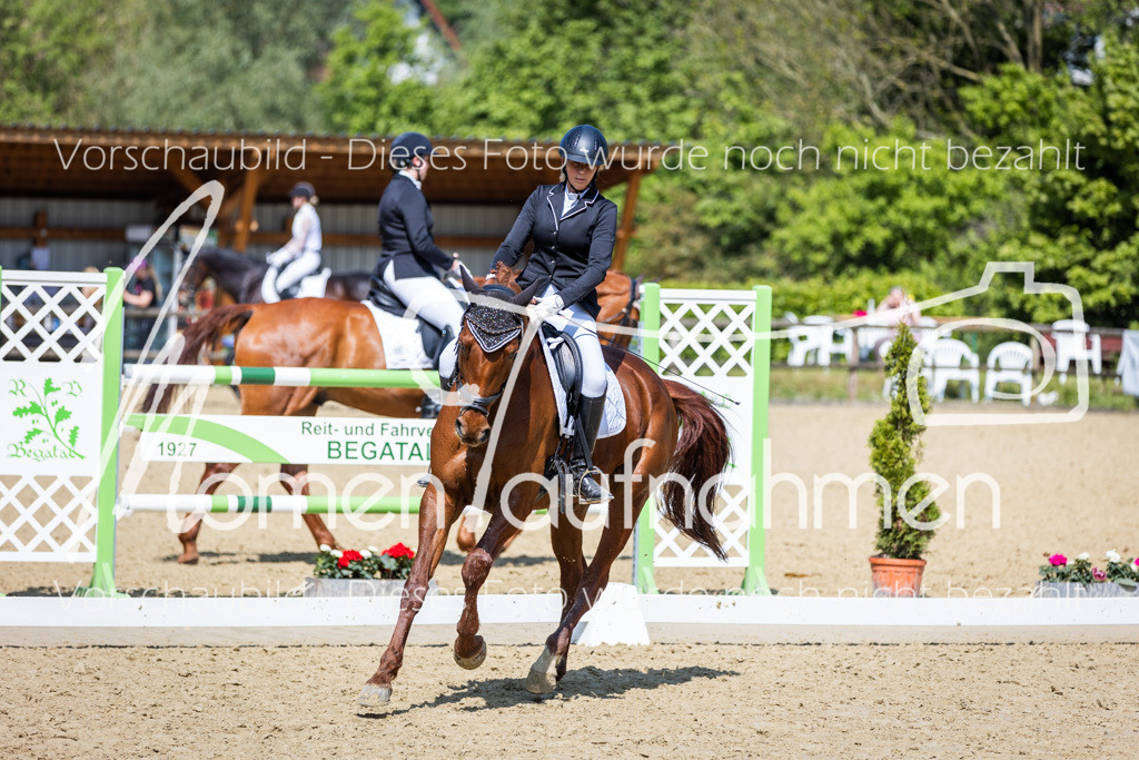 Donop24-L-Dre-055 | MomenTaufnahmen Pferdesportfotos