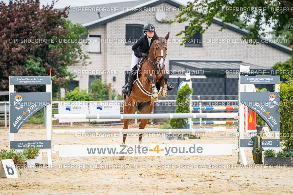 DSC09400 | Pferdegrafie