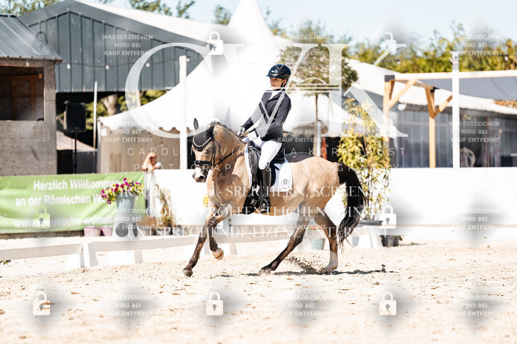 CK909922 | Turnierfotografie Pferdefotografie Trier Rheinland-Pfalz Pferdesport Reitsport Tierfotografie Sportfotografie Pferdevideo Pferdevideografie Equestrianvideography equestrianphotography  - Realisiert mit Pictrs.com