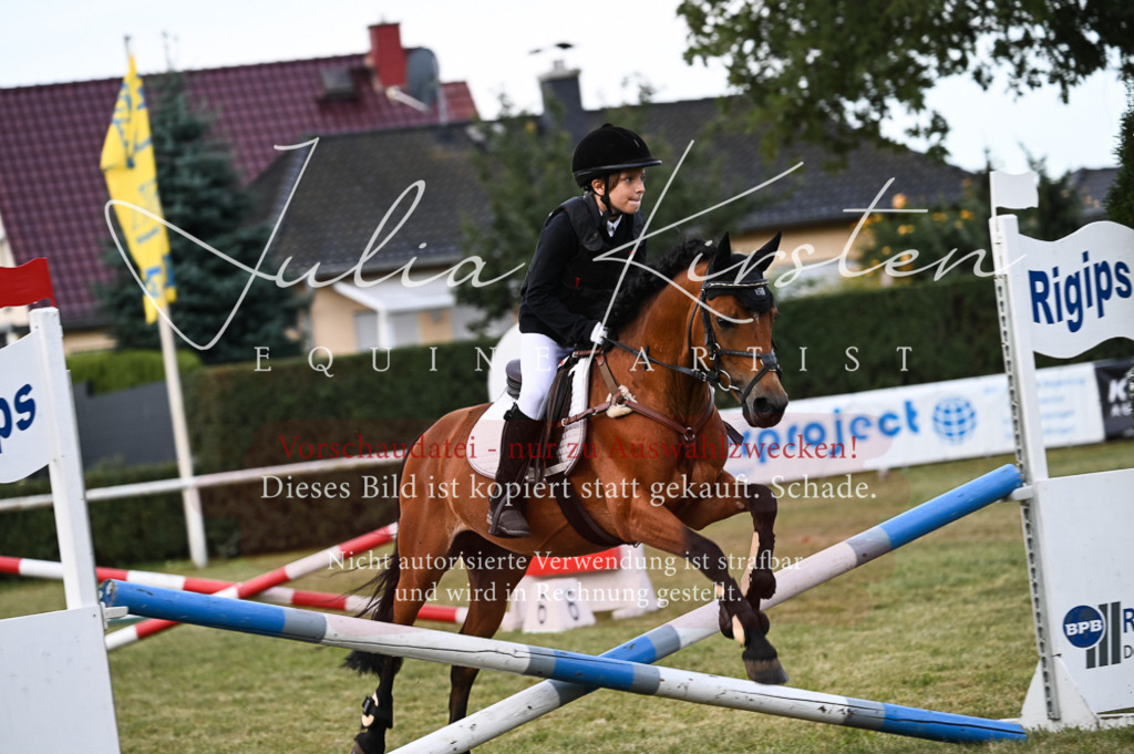 DSC_5545 | Pferde- und Turnierfotografie in Westsachsen. Pferdeportraits, Auftragszeichnungen und intuitive Kunst.