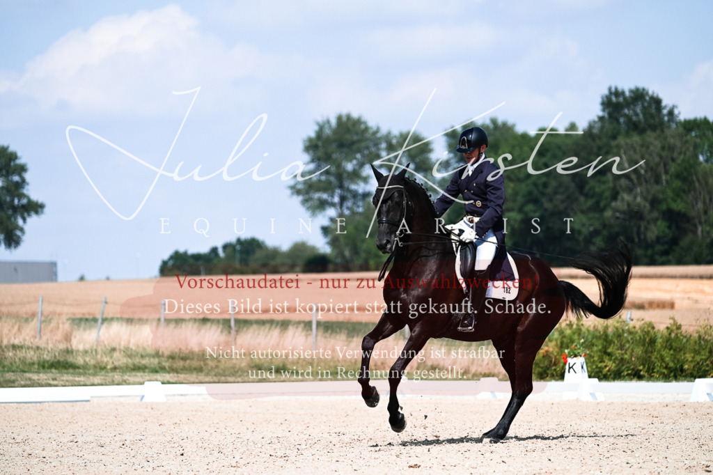 DSC_3019 | Pferde- und Turnierfotografie in Westsachsen. Pferdeportraits, Auftragszeichnungen und intuitive Kunst.