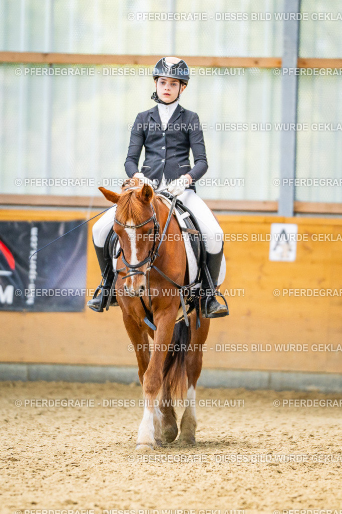 DSC03048 | Pferdegrafie