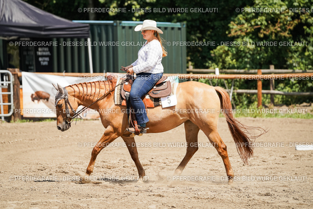 DSC07807 | Pferdegrafie