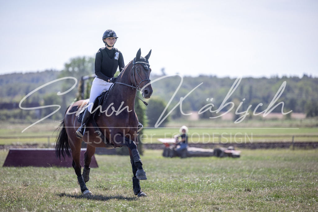 20260906-_3LI4212 | Tierfotografie Pferde, Hunde, Katzen, Haustiere.
Turnierfotografie Reitturniere, Reiten, Springreiten, Dressur in Hanau, dem Main-Kinzig-Kreis und dem Rhein-Main- Gebiet um Frankfurt