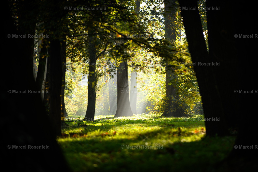 _DSC9640 | foto-rosenfeld