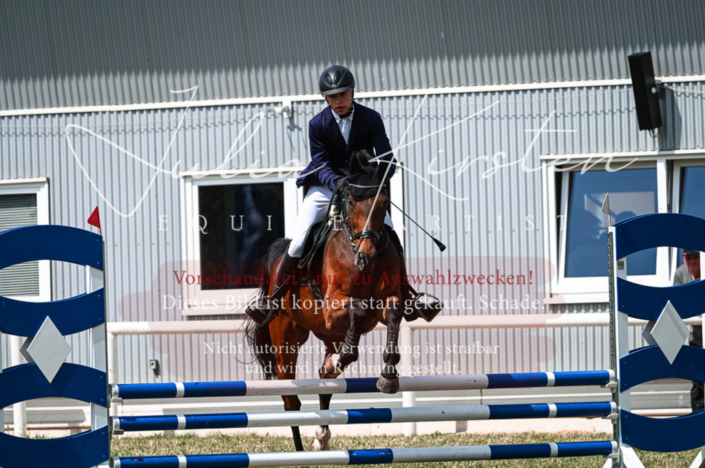 DSC_8951 | Pferde- und Turnierfotografie in Westsachsen. Pferdeportraits, Auftragszeichnungen und intuitive Kunst.