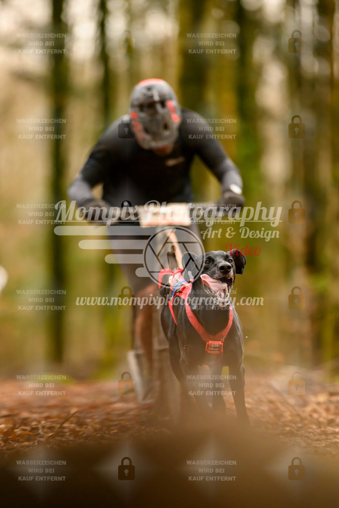 MompixPhotography_Habay2024_SA_Scooter-6 | PayLife
