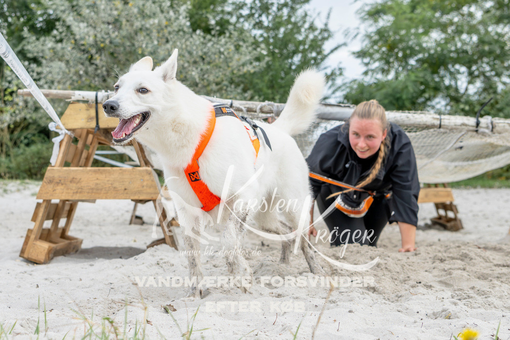 1515_ZZ93746 | kk-dogfotos