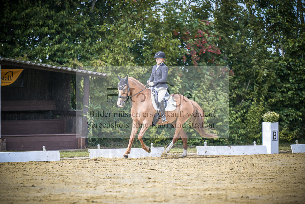 DOS_5478 | Entdecke hochwertige Reitturnierfotos von Foto Oger. Professionell, emotional und authentisch – jetzt Lieblingsmomente im Shop bestellen.Deutschlandweite Turnierfotografie. - Realisiert mit Pictrs.com