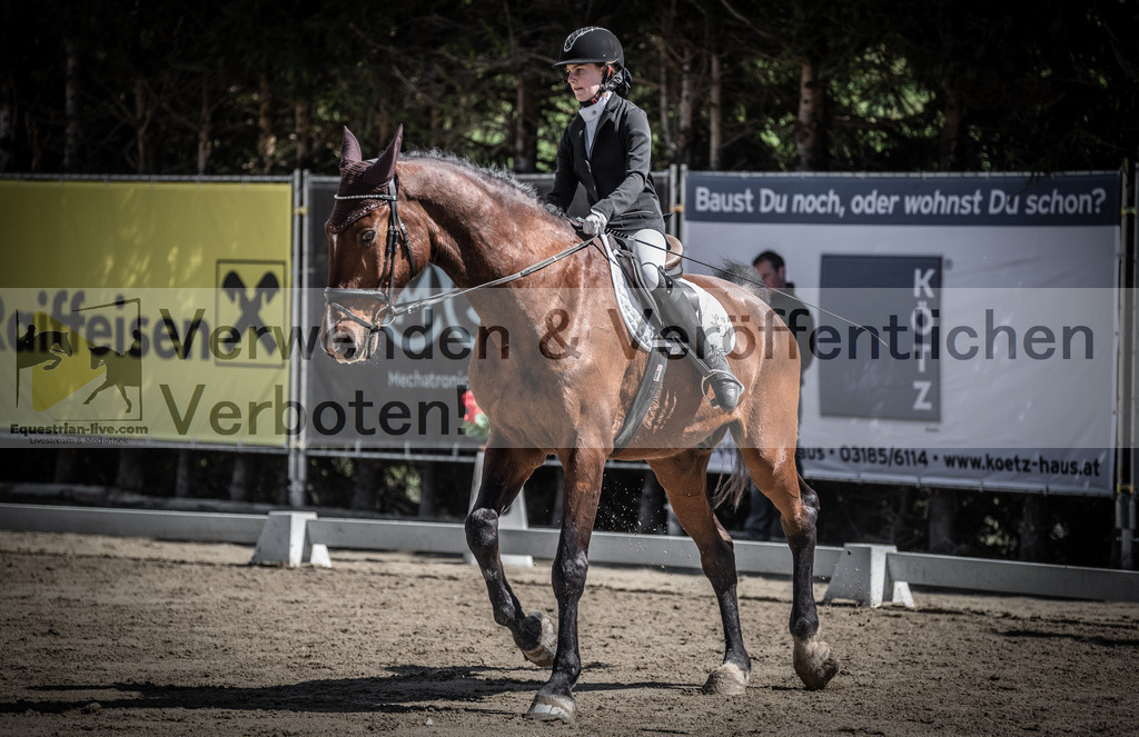 DSC_9900 | equestrian-live-com