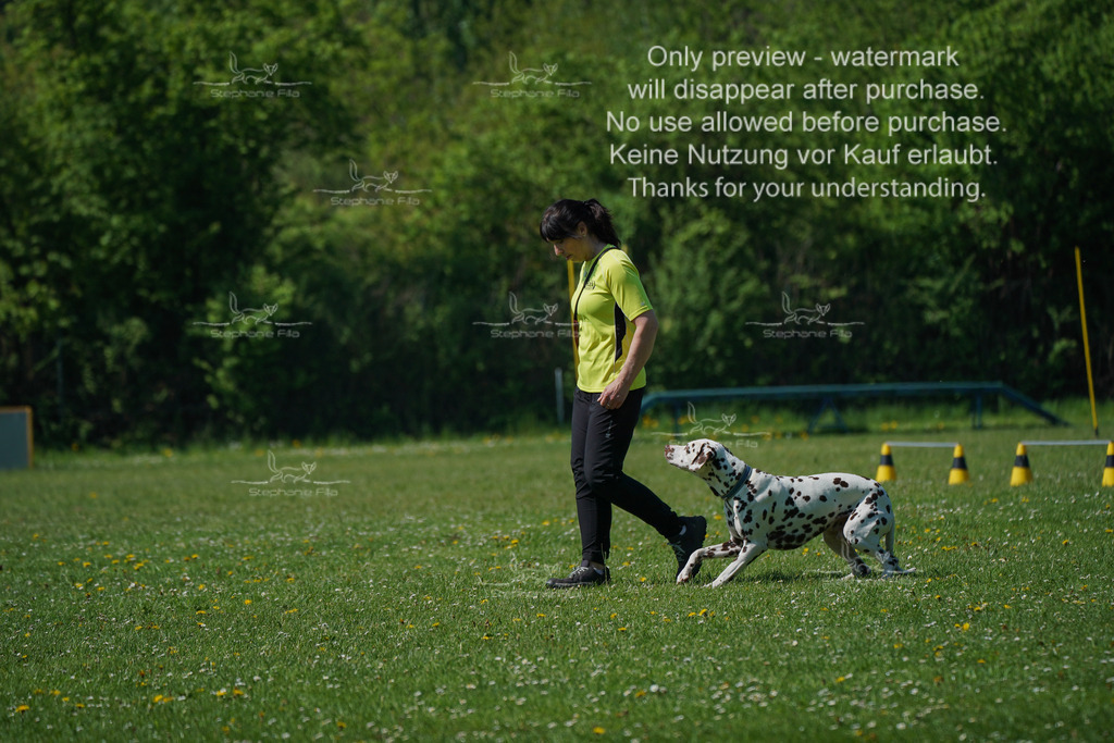 Sa_Gehorsam_Vormittag-136 | stephaniefillaphotographie - Realisiert mit Pictrs.com