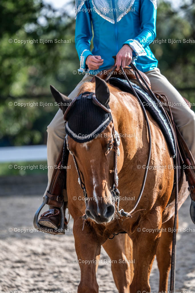 HOB08055 | BS-foto