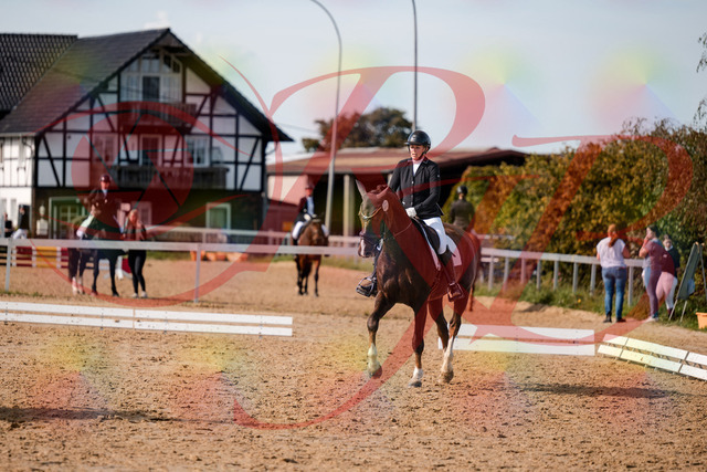 2026_10_03_Siefer-Hof_132314_Z63_84620718 | Professionelle Reitsport-, Turnier- und Eventfotografie von Robert Broda. Galerien mit ausgewählten und bearbeiteten Bildern direkt online ansehen und bestellen.