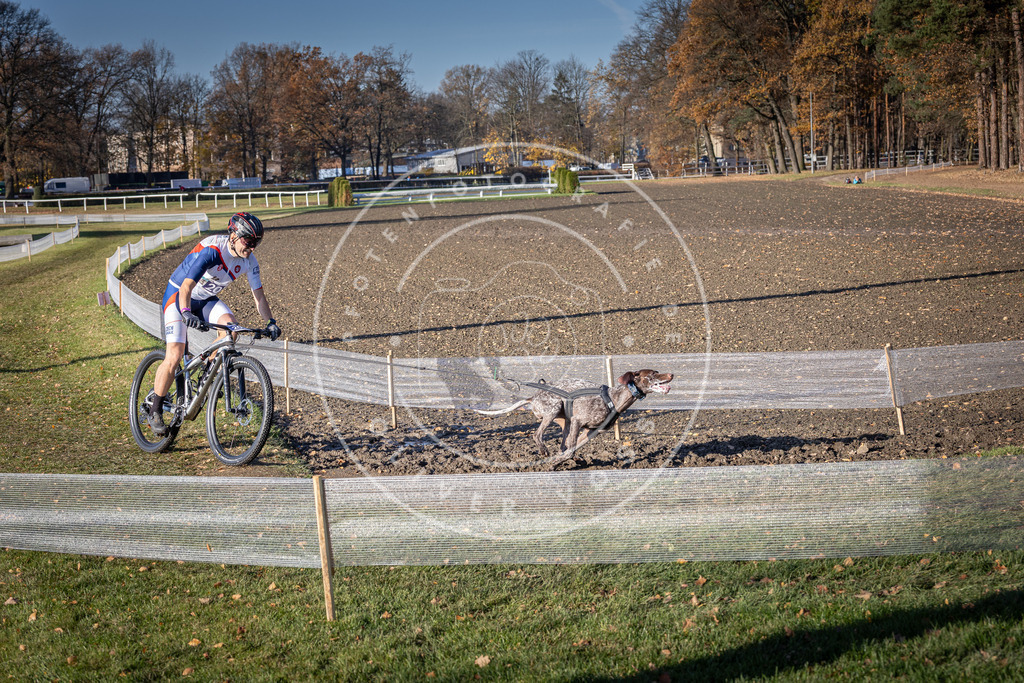 CaniXpix_DV3A2952 | Hundefotografie, Tierfotograf, Pfotenfotografie, Fotoshooting Hund, Hunde Portrait, Hundesport, Hundeportraits, Heideshooting, Hunde, Sportfotograf, Hundefotograf, Turnierhundsport, THS,  - Realisiert mit Pictrs.com