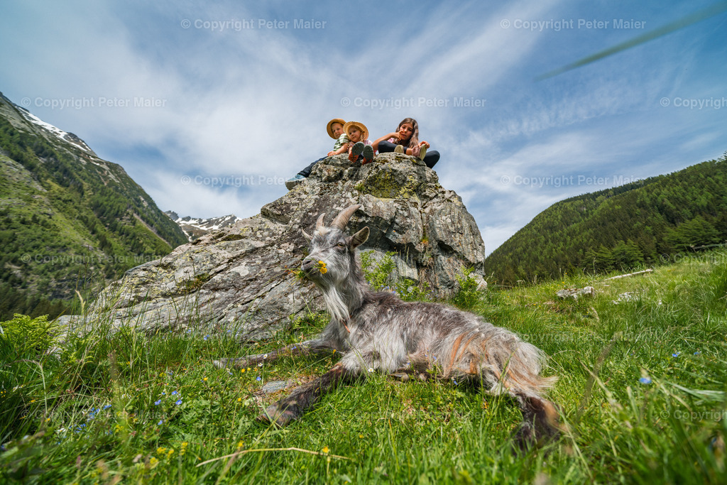 Rent_a_Goas_2024-598 | piet_flosse