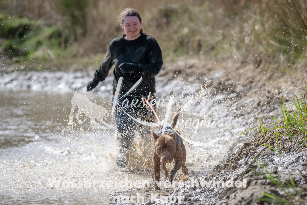 1146_ZZ90253 | kk-dogfotos