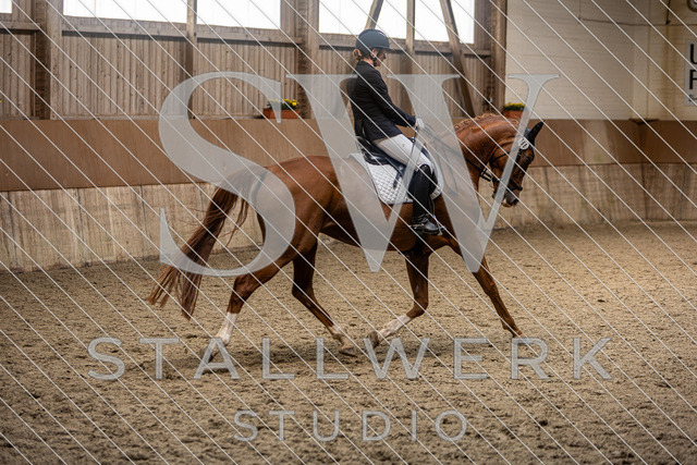 2L2A5006 | stallwerkstudio - Realisiert mit Pictrs.com