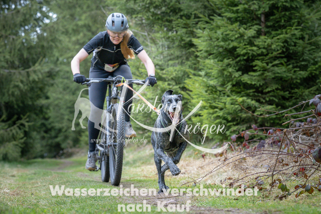 1310_ZZ93850 | kk-dogfotos